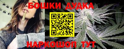 дживик Дубна