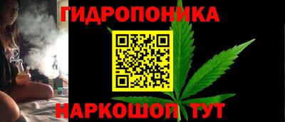 дживик Дубна
